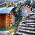 Mid Conifer Cottage