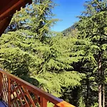 Mid Conifer Cottage