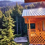 Mid Conifer Resort And Cottages