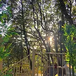 The Pine Retreat - Mall Road Dalhousie