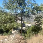 Aditya Homestay Dalhousie