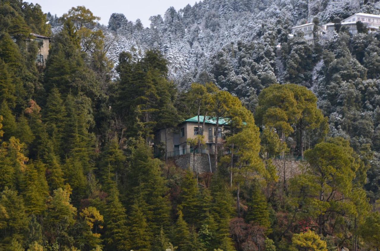 The Birds Hostel, Hostel Dalhousie