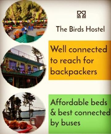 Hostel The Birds Hostel, Dalhousie