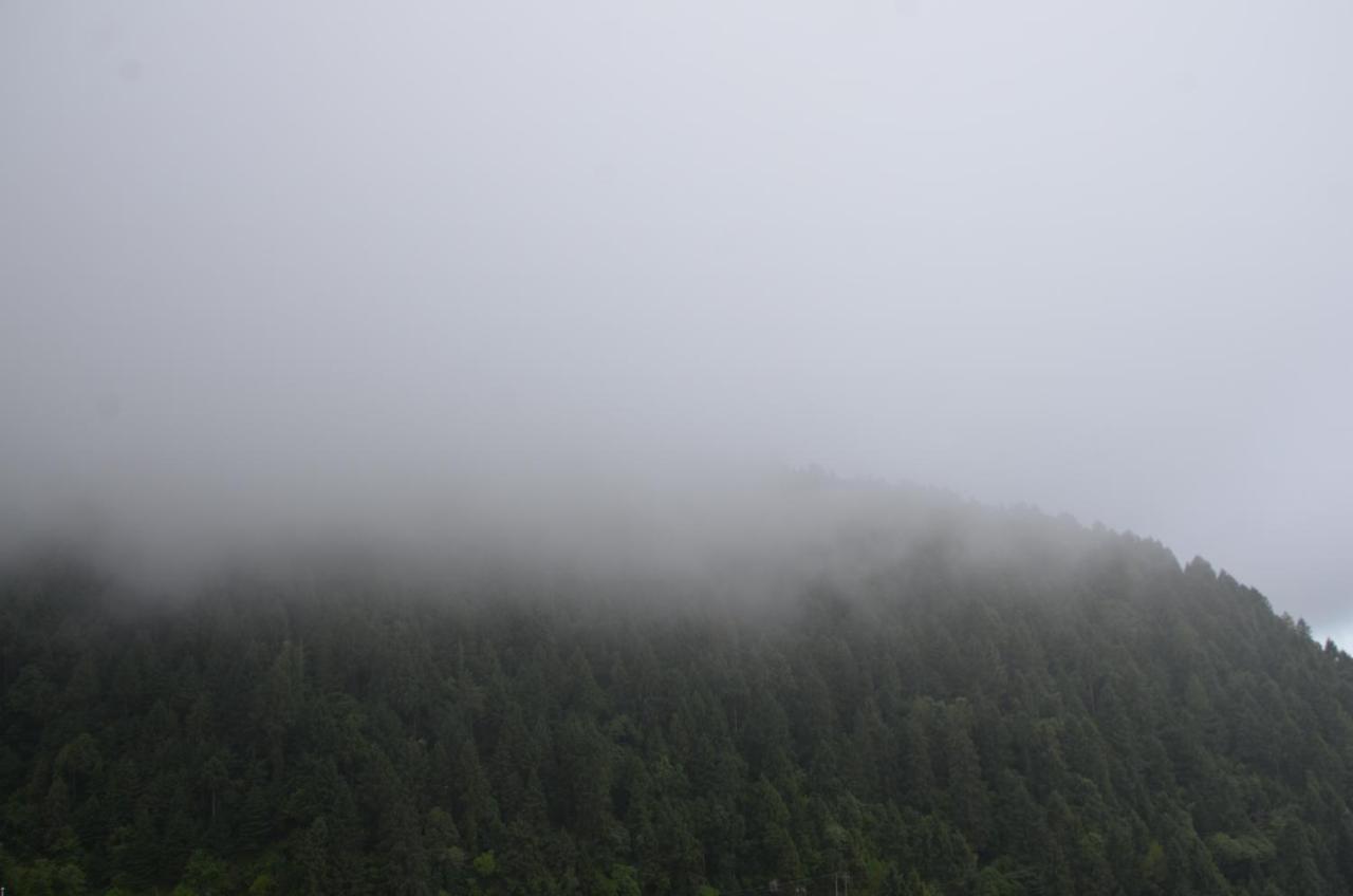 Western Dalhousie