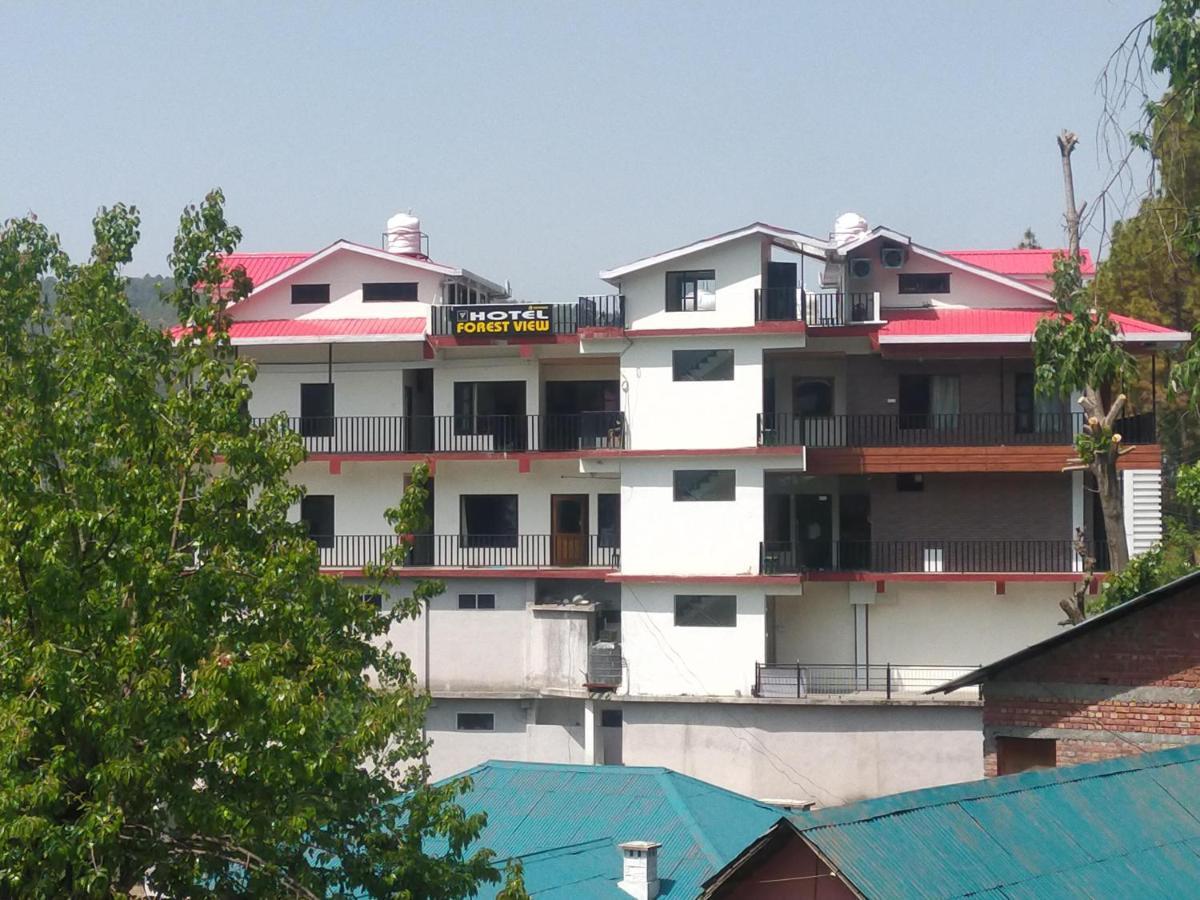 Forest View Dalhousie, Banikhet Hotel