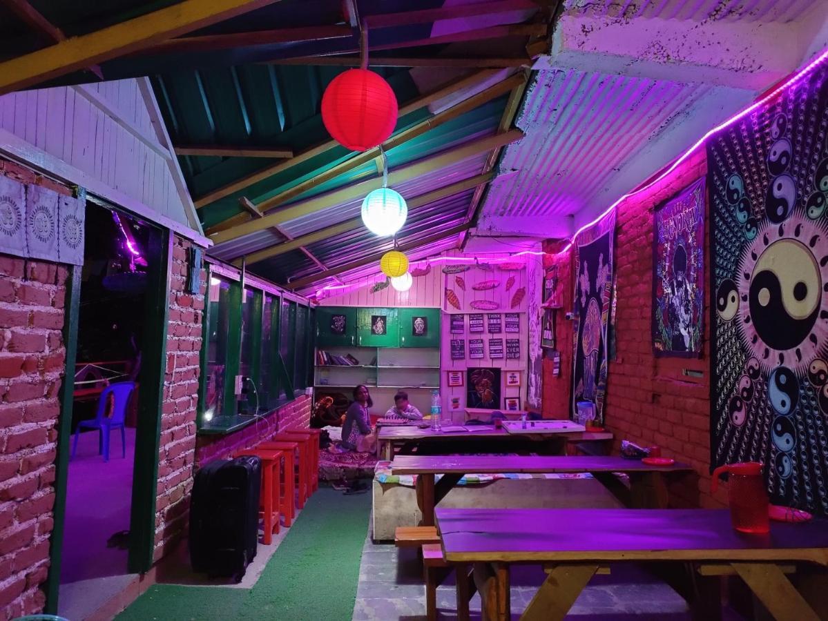 The Birds Hostel, Hostel