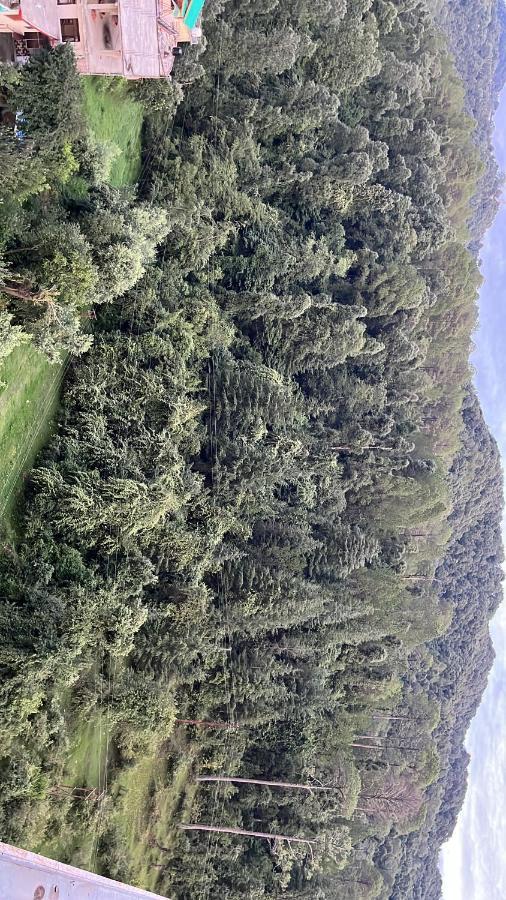 Forest View Dalhousie, Banikhet