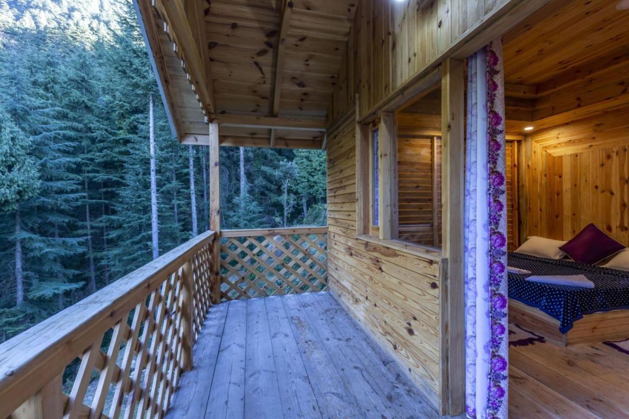 Resort Mid Conifer 2*
