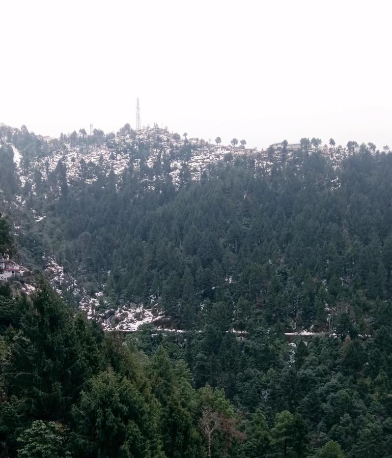 Himalayan - Near Panchpula Water Fall * Dalhousie