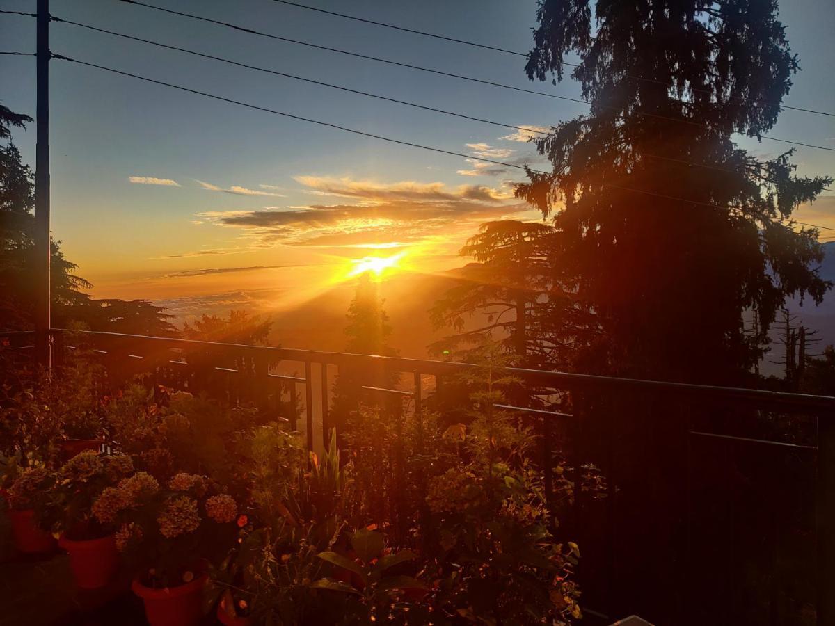 Smarthill Kalatop-nature's Heaven Hotel Dalhousie