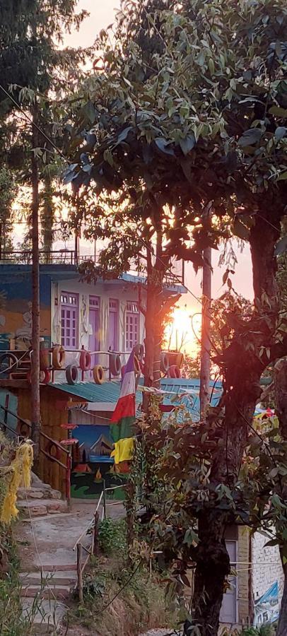 The Birds Hostel, Dalhousie