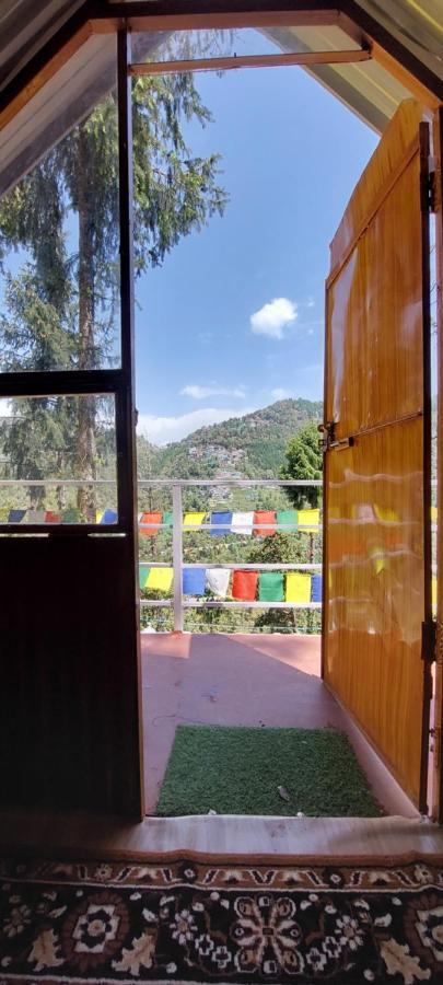 The Birds Hostel, * Dalhousie