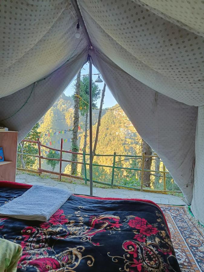 The Birds Hostel, Hostel Dalhousie