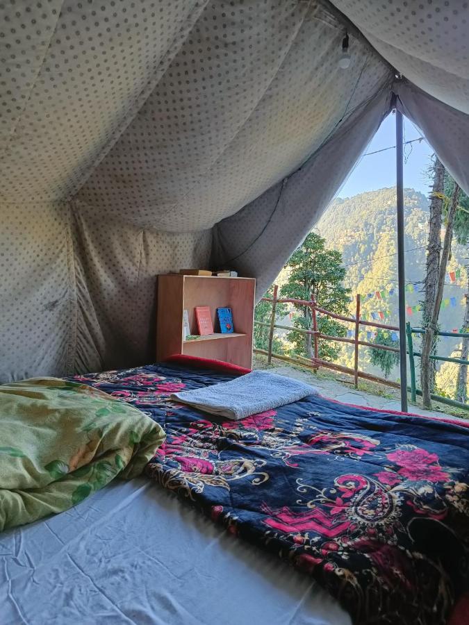 The Birds Hostel, * Dalhousie