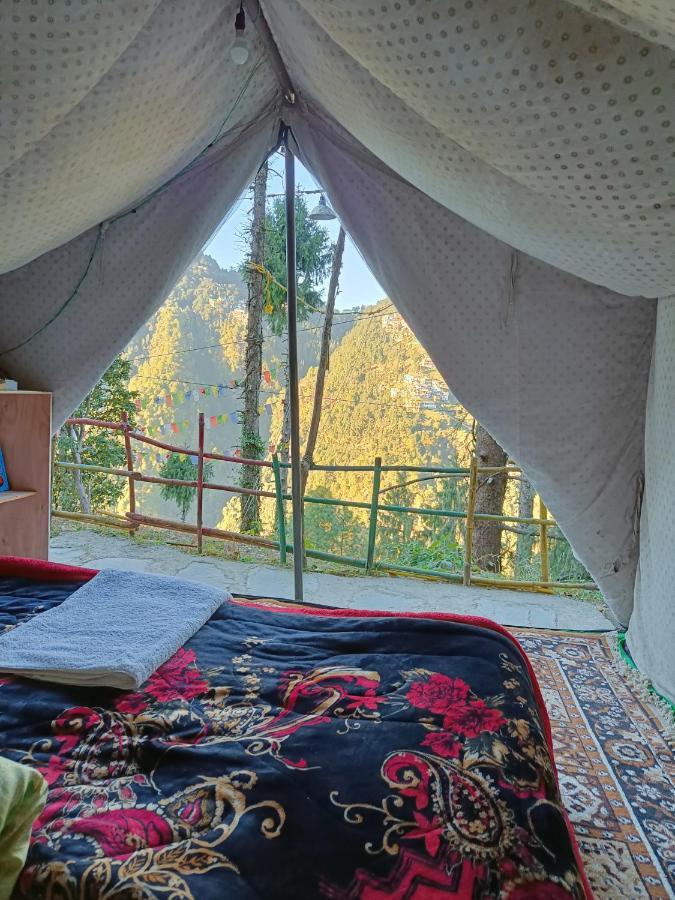 The Birds Hostel, Hostel