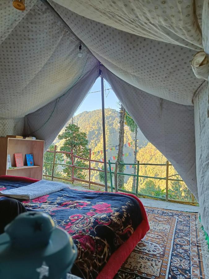 The Birds Hostel,