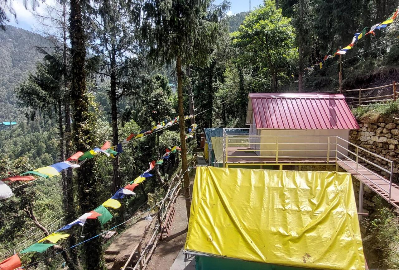 The Birds Hostel, Hostel *