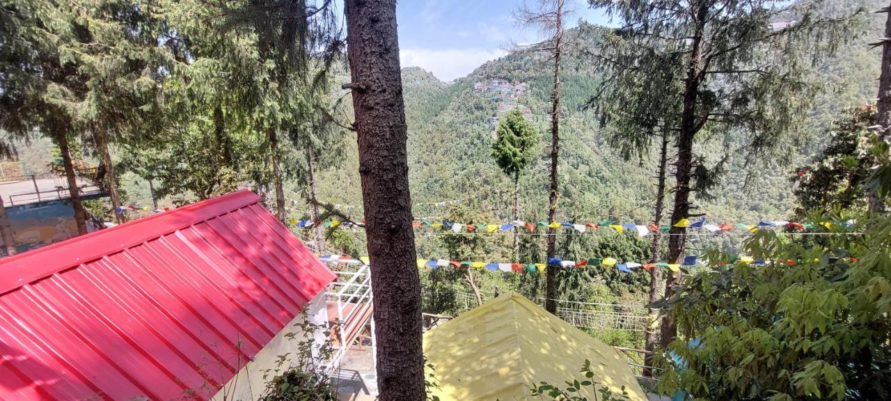Nomadic - & The Adventure Cafe Bed & Breakfast Dalhousie