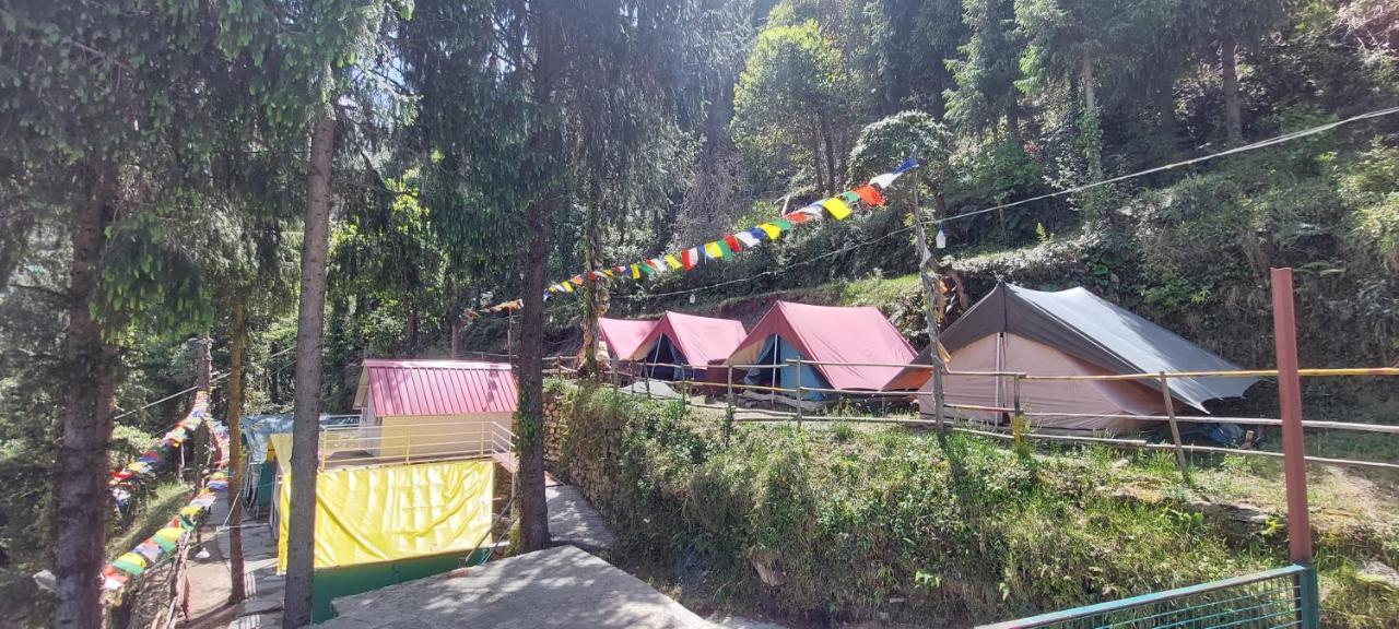 Nomadic - & The Adventure Cafe
