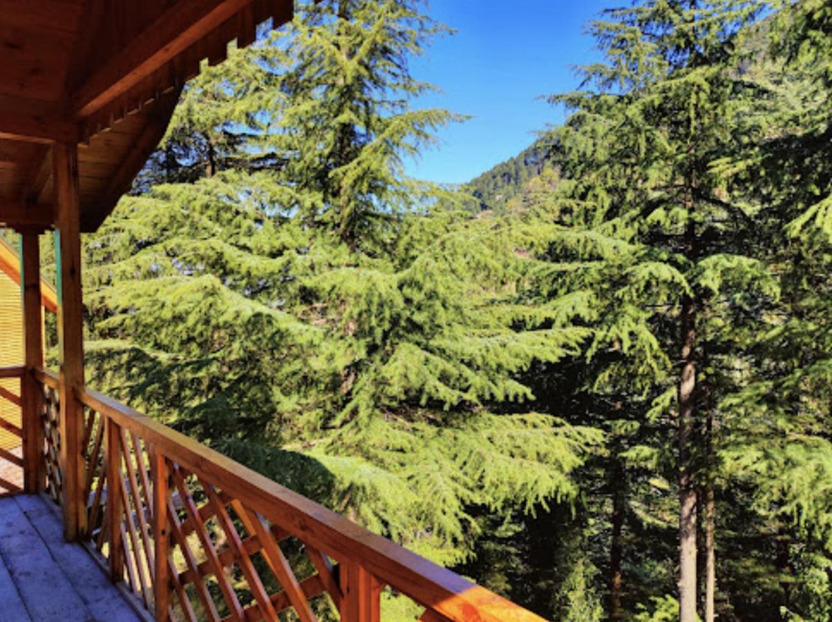 Mid Conifer Resort