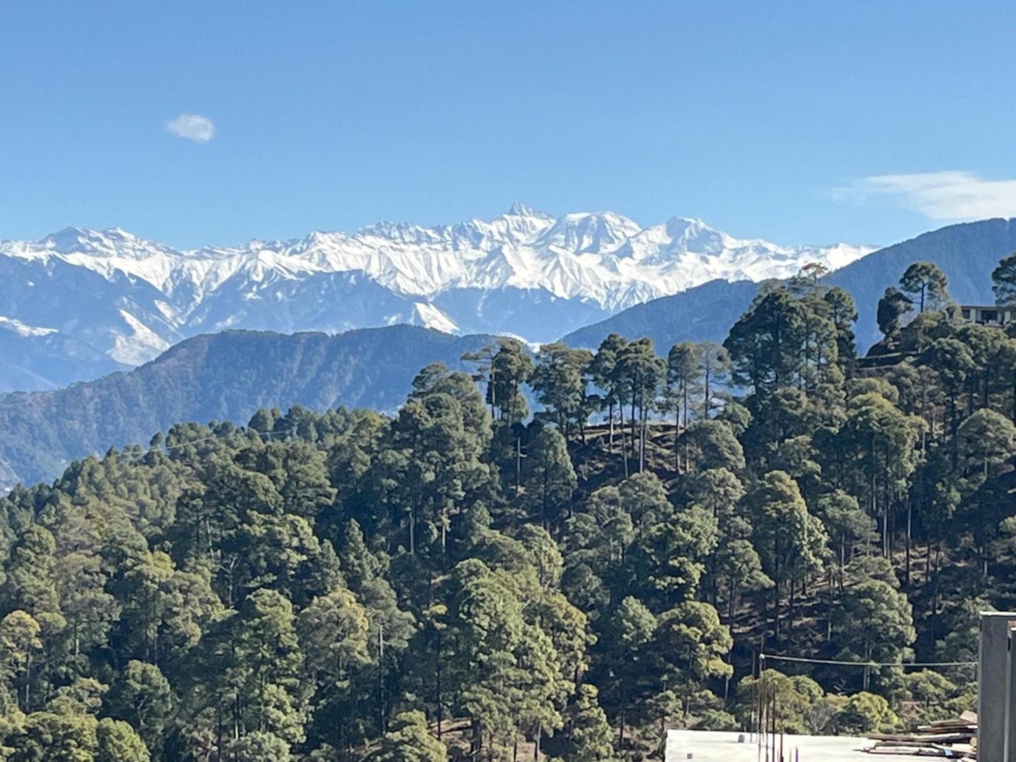 Hotel Forest View Dalhousie, Banikhet 2*