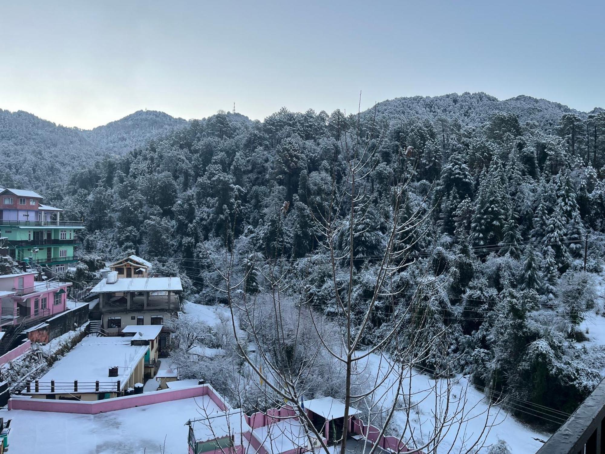 Forest View Dalhousie, Banikhet Hotel