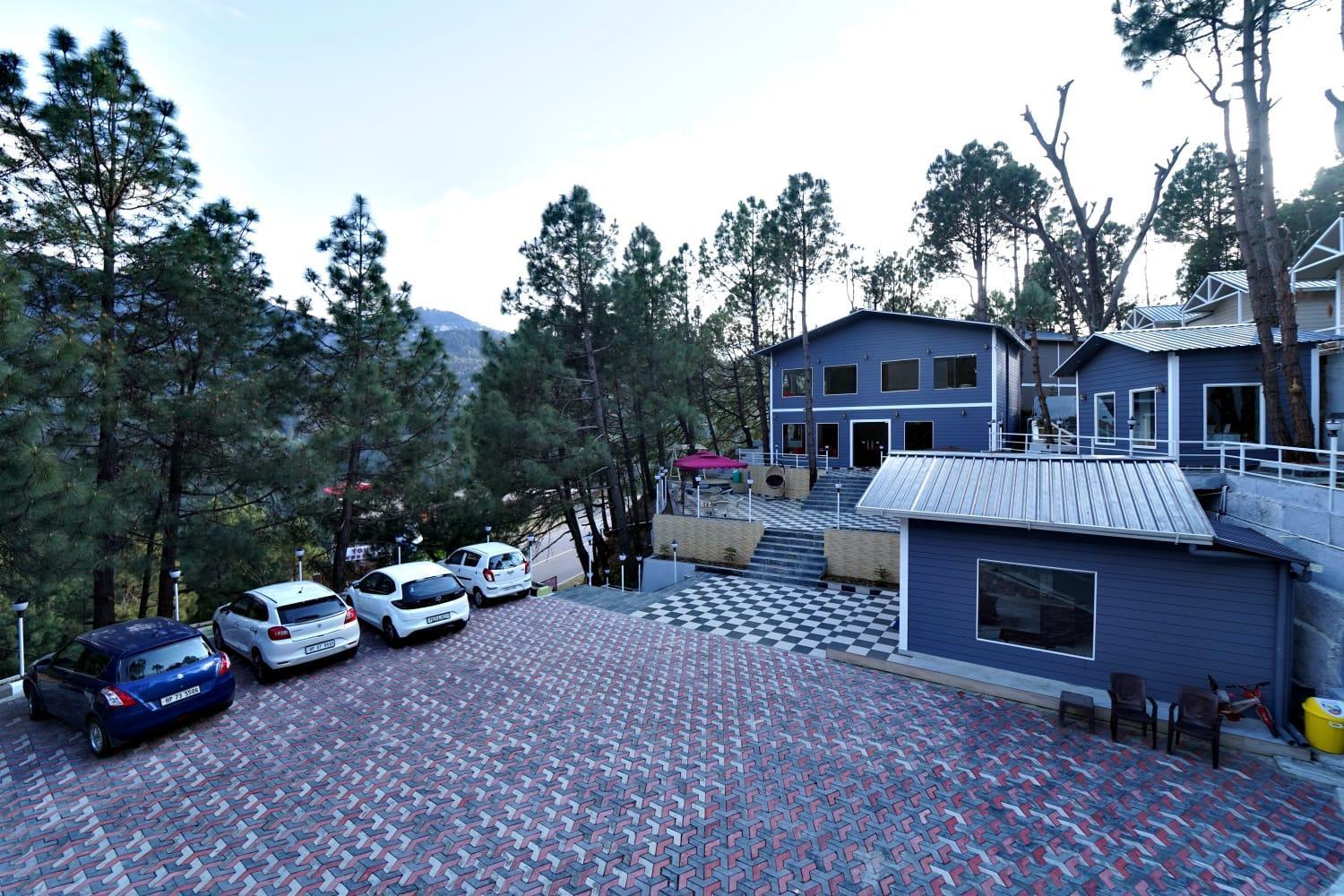 Dls Nature Trinket * Dalhousie