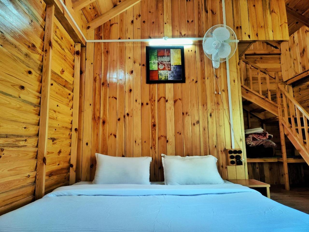Hotel Mid Conifer And 4*