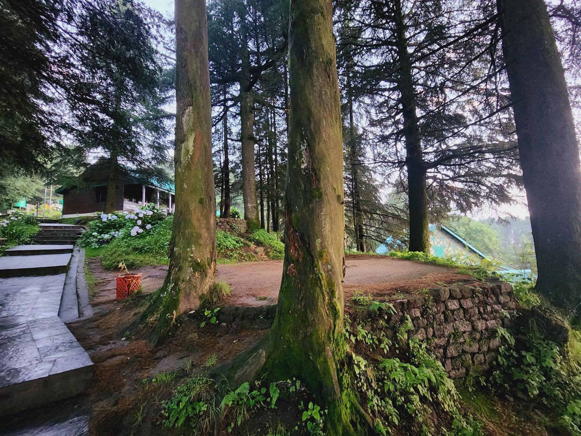 Guest house Smartvalley View Dalhousie-nature's Heaven