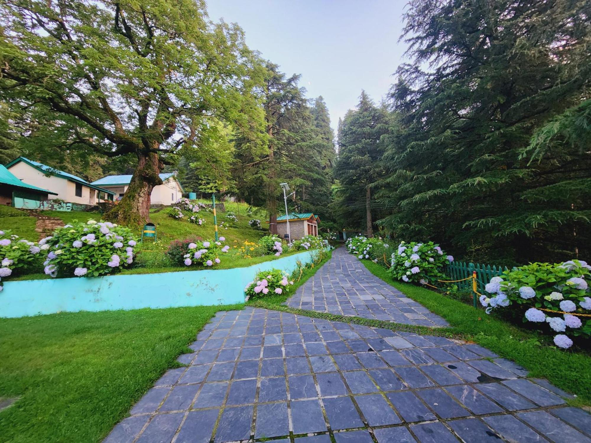 Smarthill Kalatop-nature's Heaven Hotel *