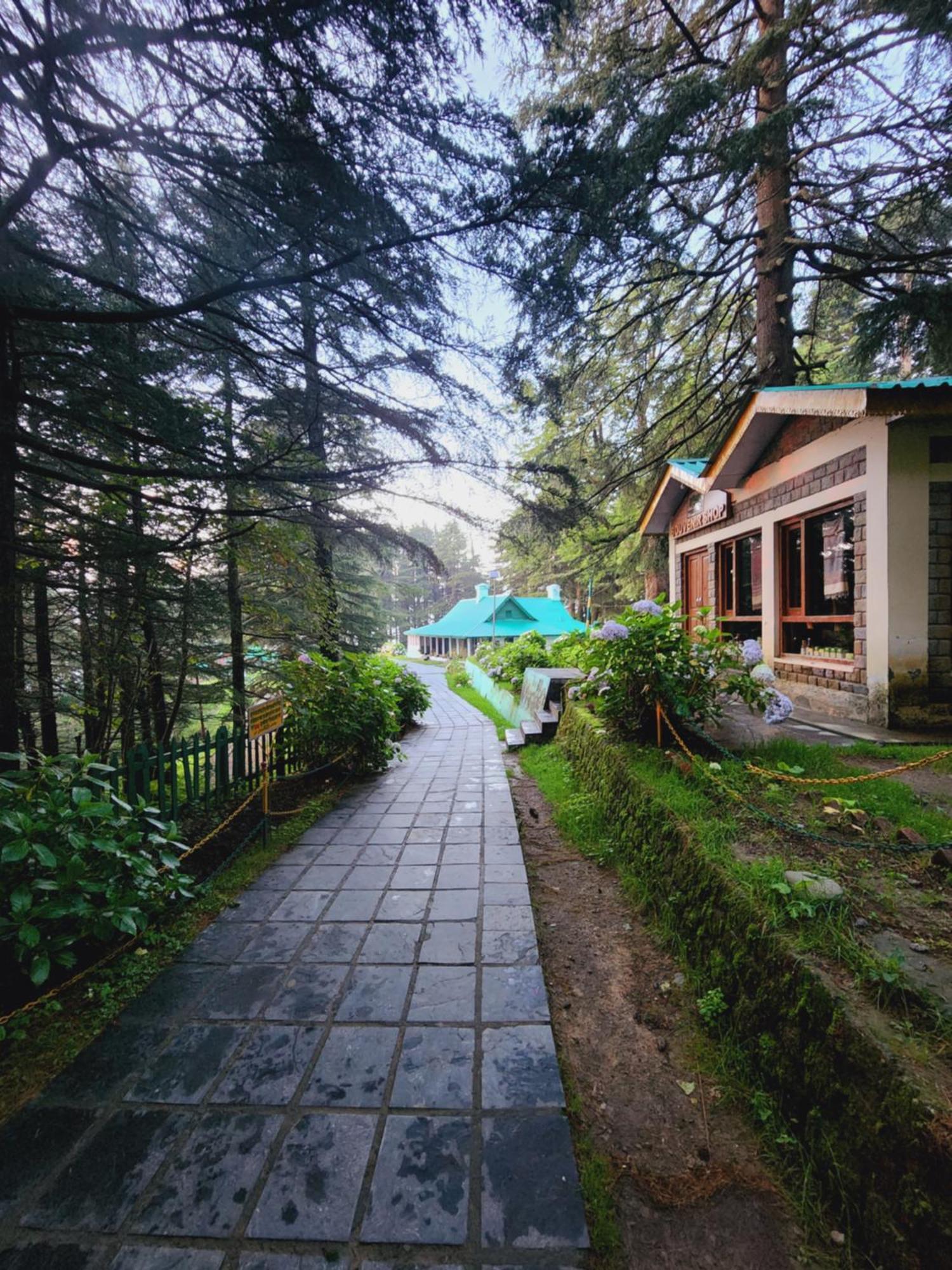Smarthill Kalatop-nature's Heaven * Dalhousie