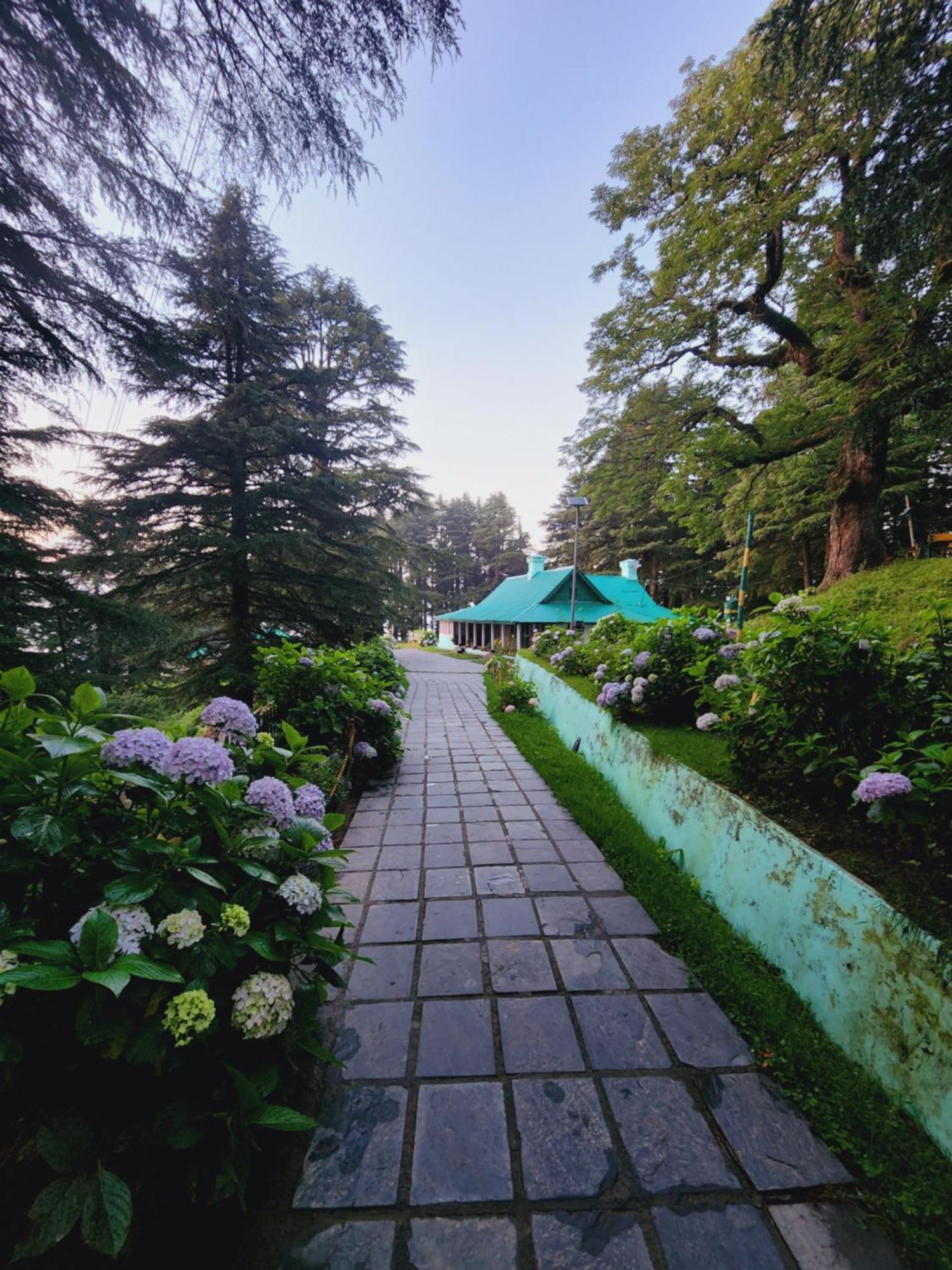 Smarthill Kalatop-nature's Heaven Hotel Dalhousie