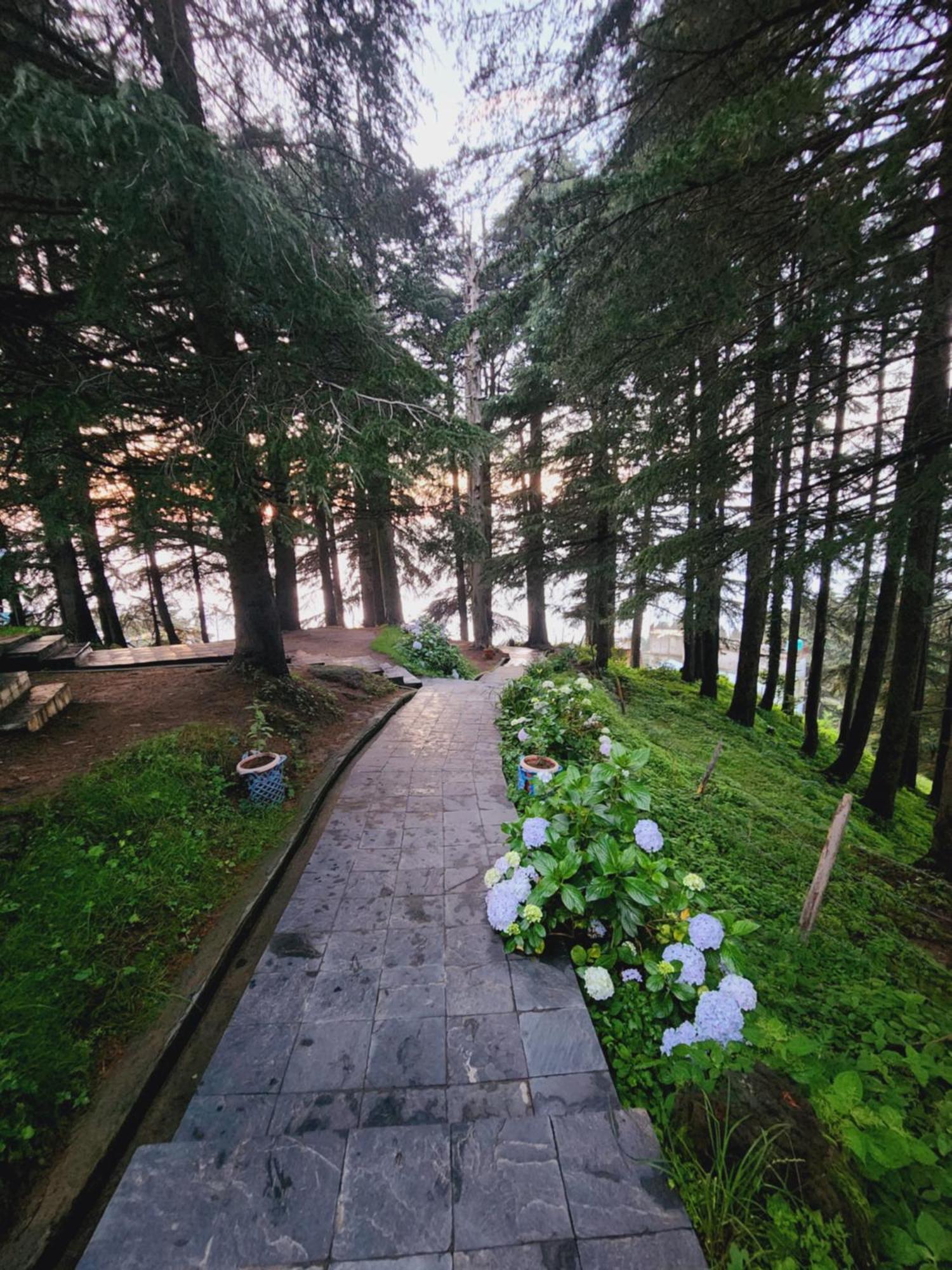 Hotel Smarthill Kalatop-nature's Heaven *