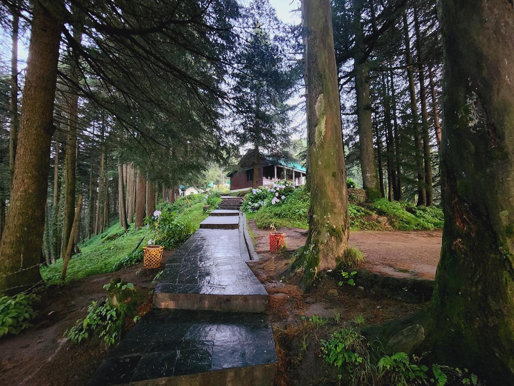 Smarthill Kalatop-nature's Heaven Hotel Dalhousie