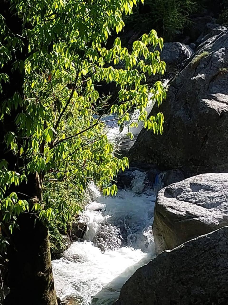 Hotel Paradise Hills Panchpula - Near Panchpula Water Fall