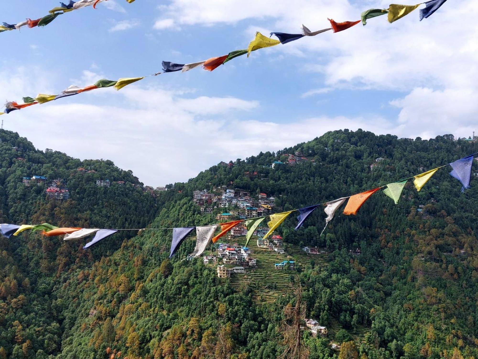 Nomadic - & The Adventure Cafe Bed & Breakfast Dalhousie