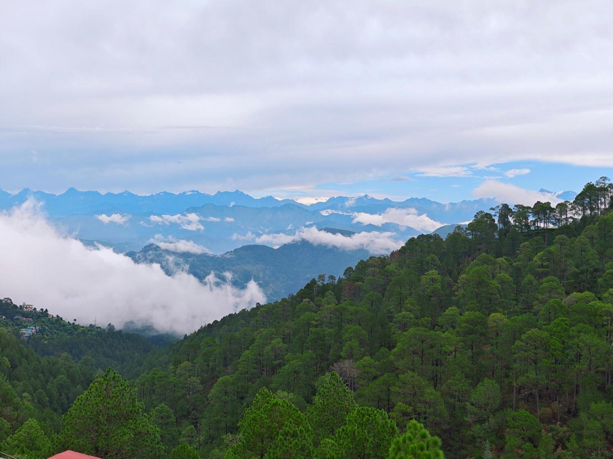 Pines And Peeks By Tws 3* Dalhousie