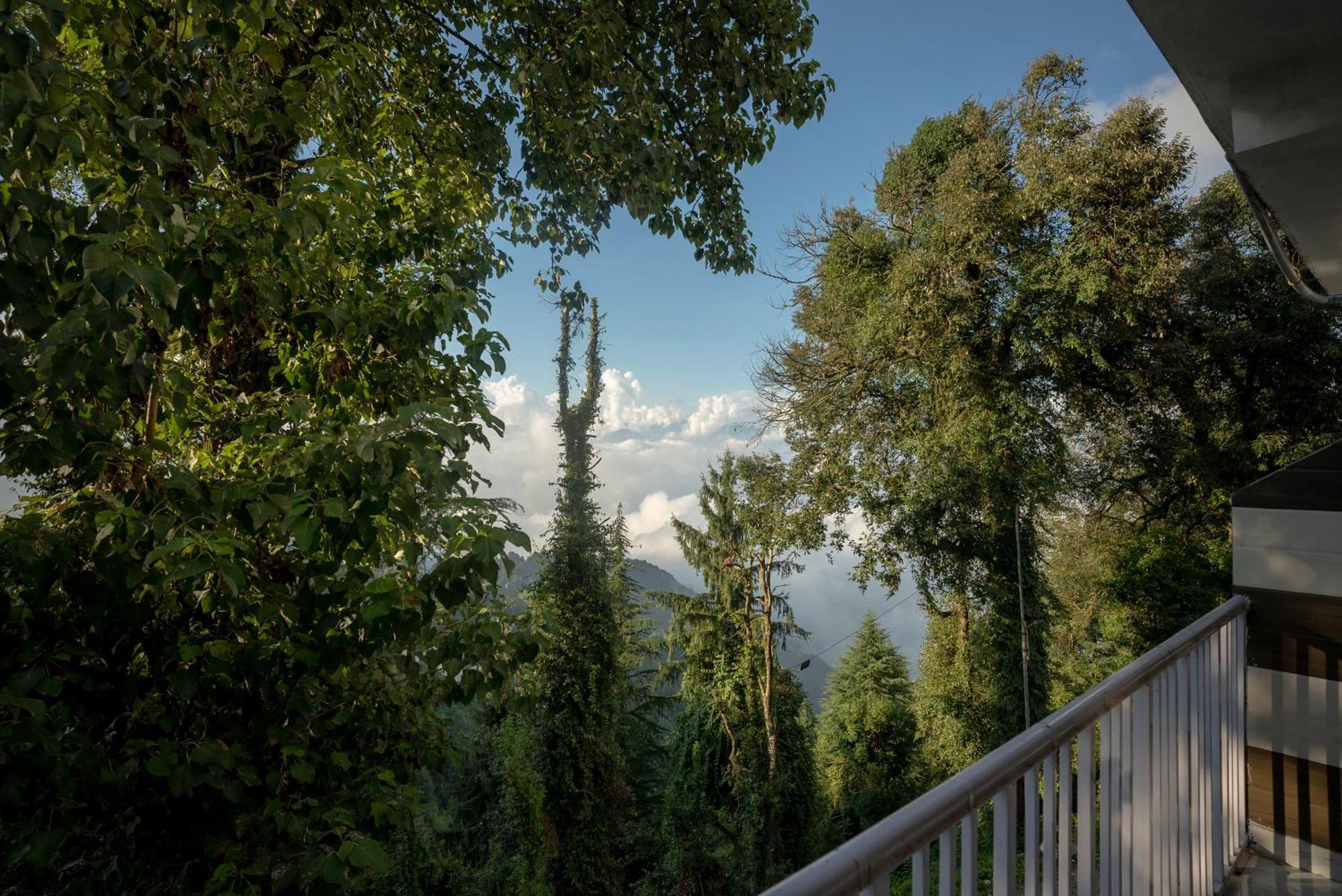 Blue Heaven - In Dalhousie