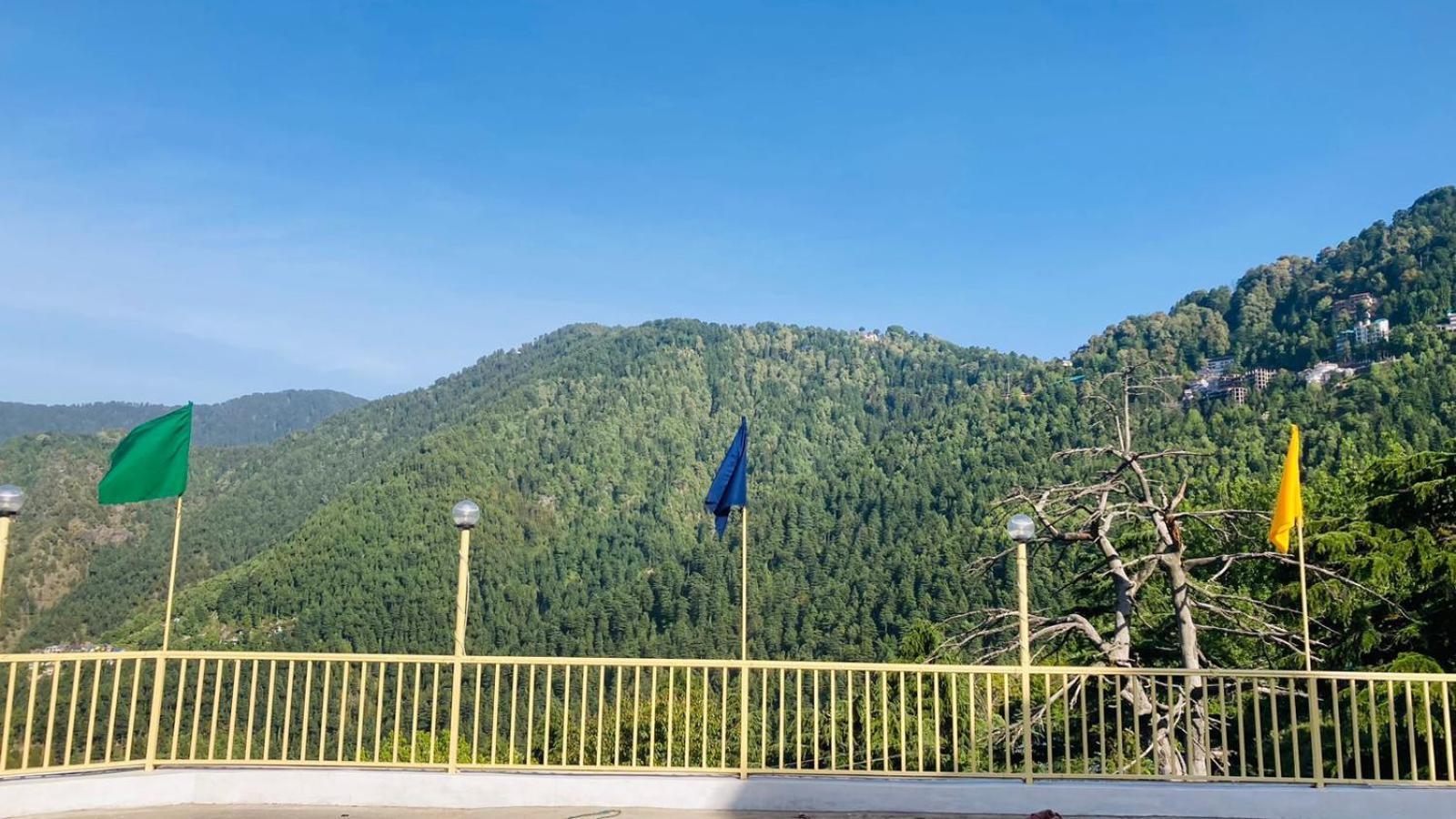 Terrace View 3* Dalhousie
