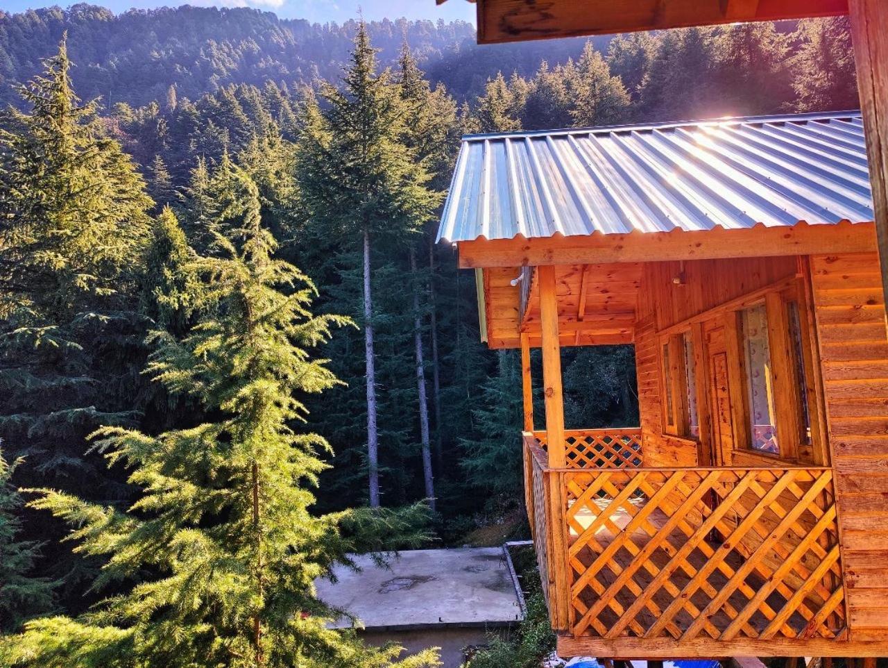 Hotel Mid Conifer And