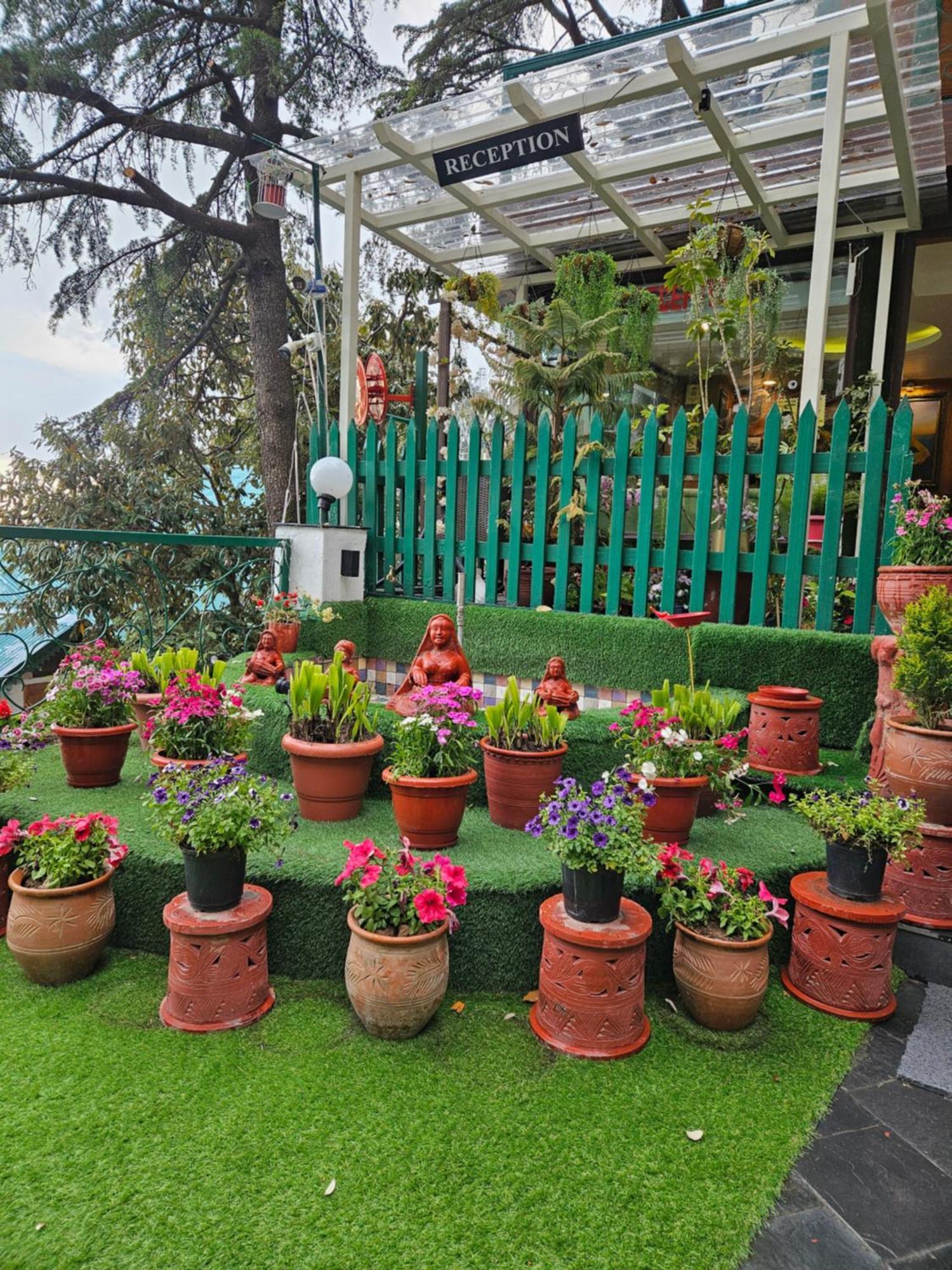 Mongas & Hotel 4*