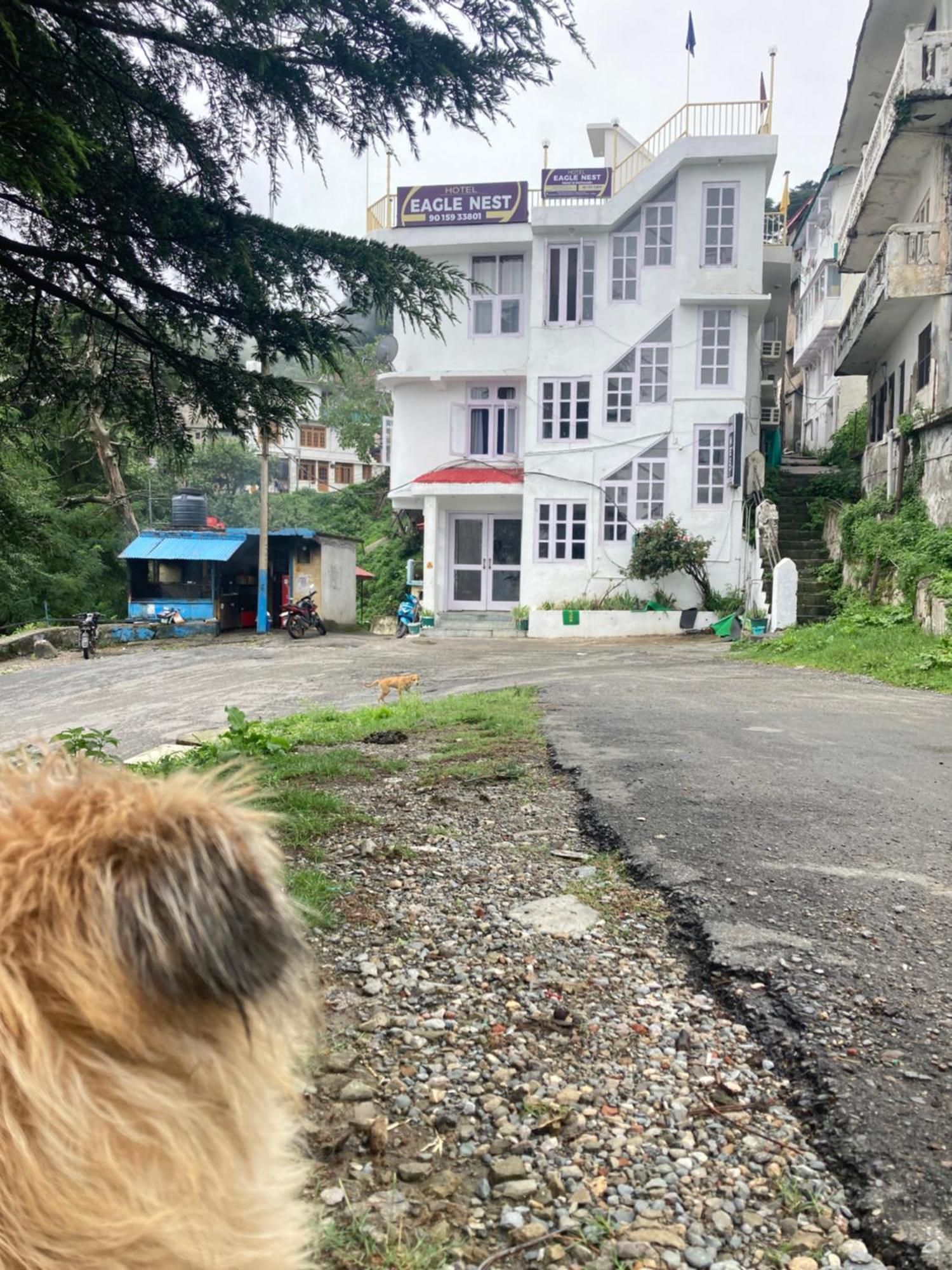 Hotel Eagle Nest Heated Dalhousie