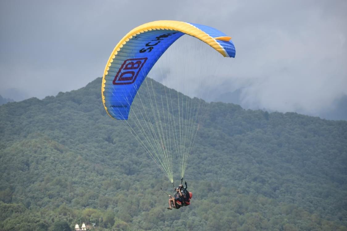 Rock Mountain Premium Near Rock Garden Dalhousie