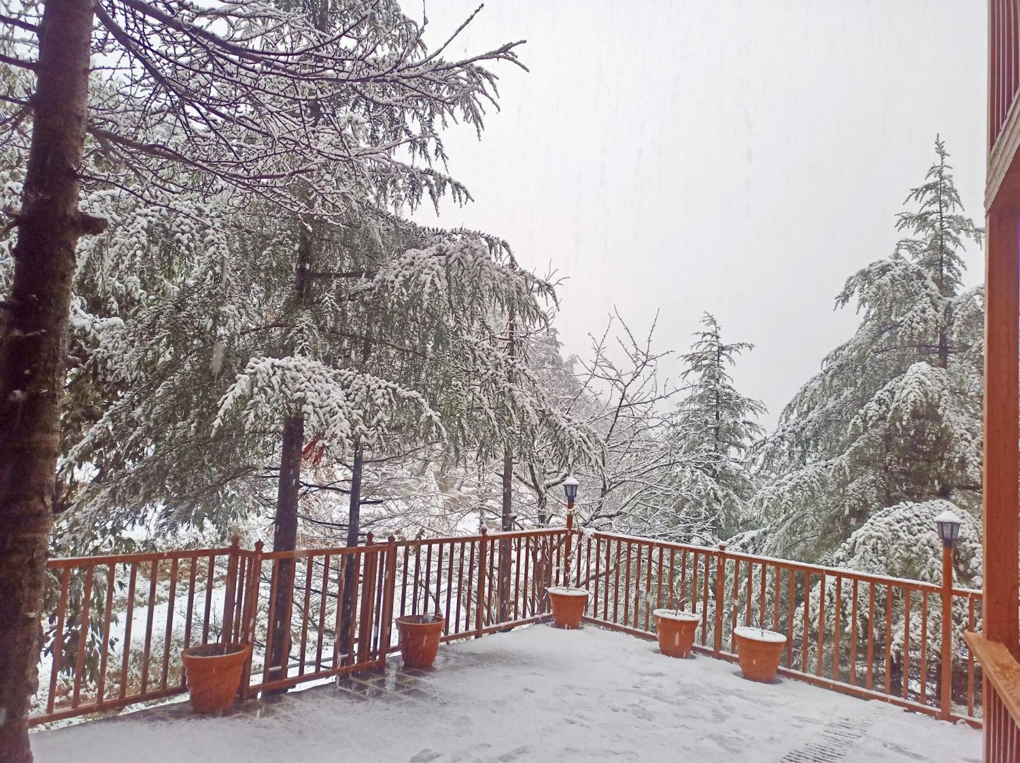 Wow Stayz2 Ashoka Grand Dalhousie