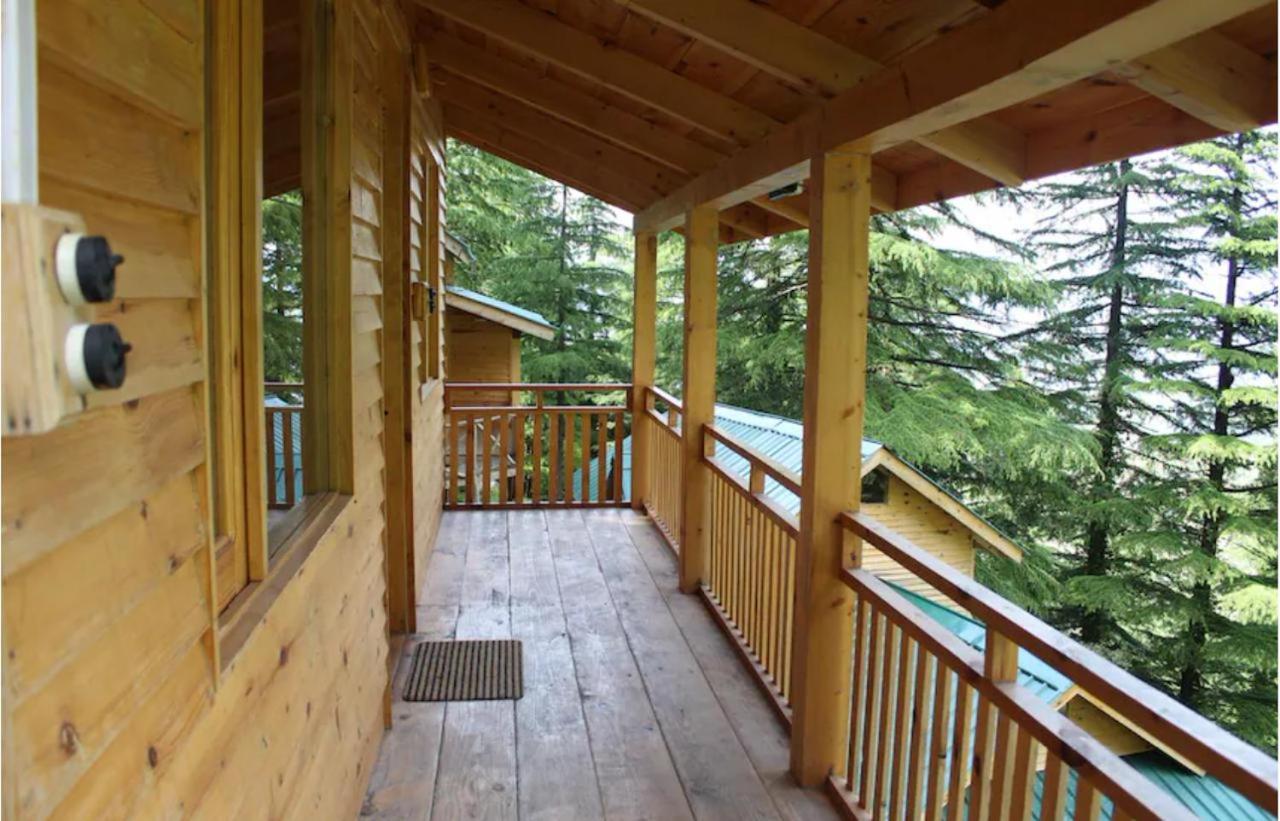 The Conifer Resort, - A Beautiful Wellness In The Lap Of Nature
