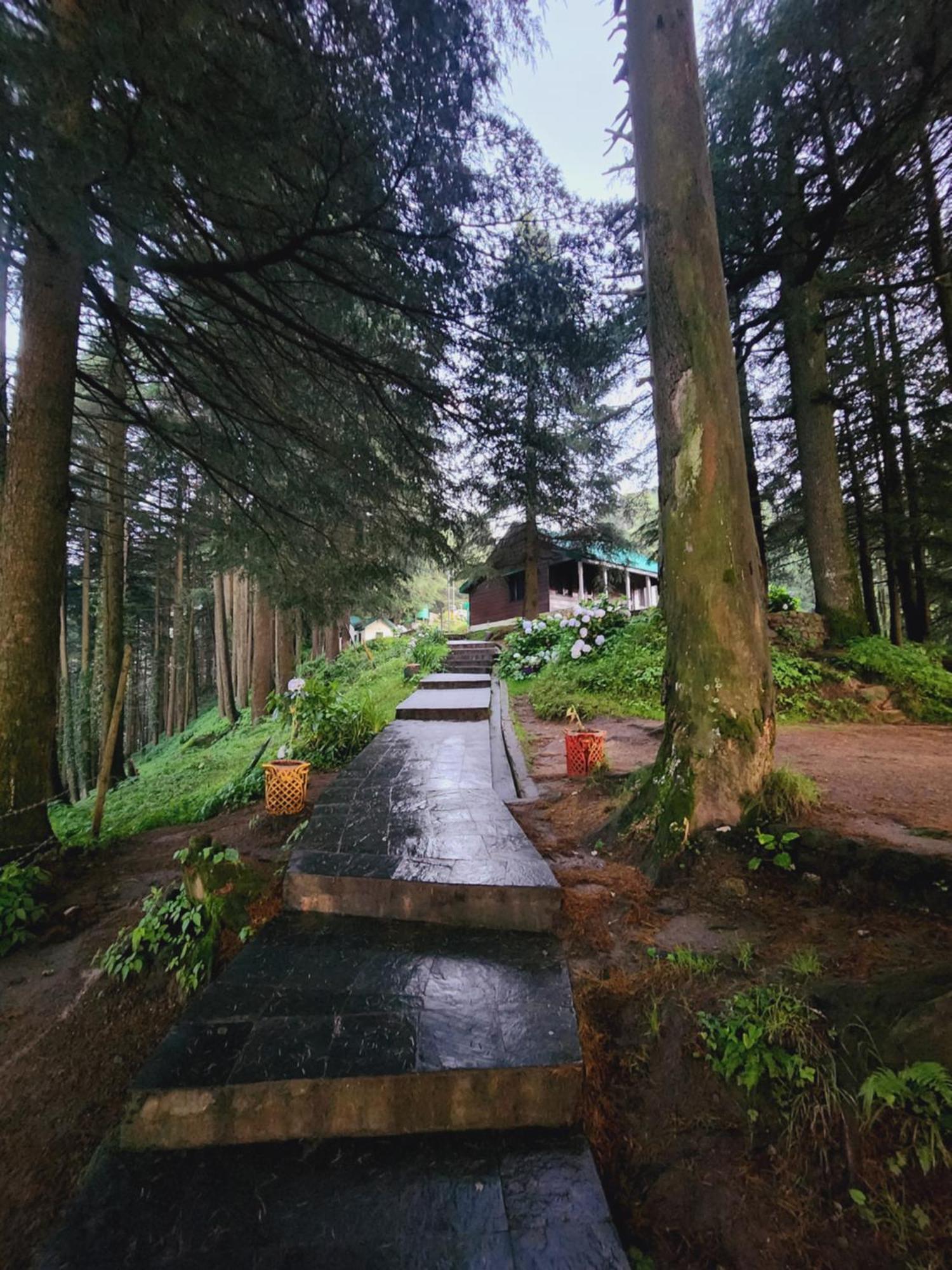 Smarthill Kalatop-The Forest Sanctuary Hotel 2*
