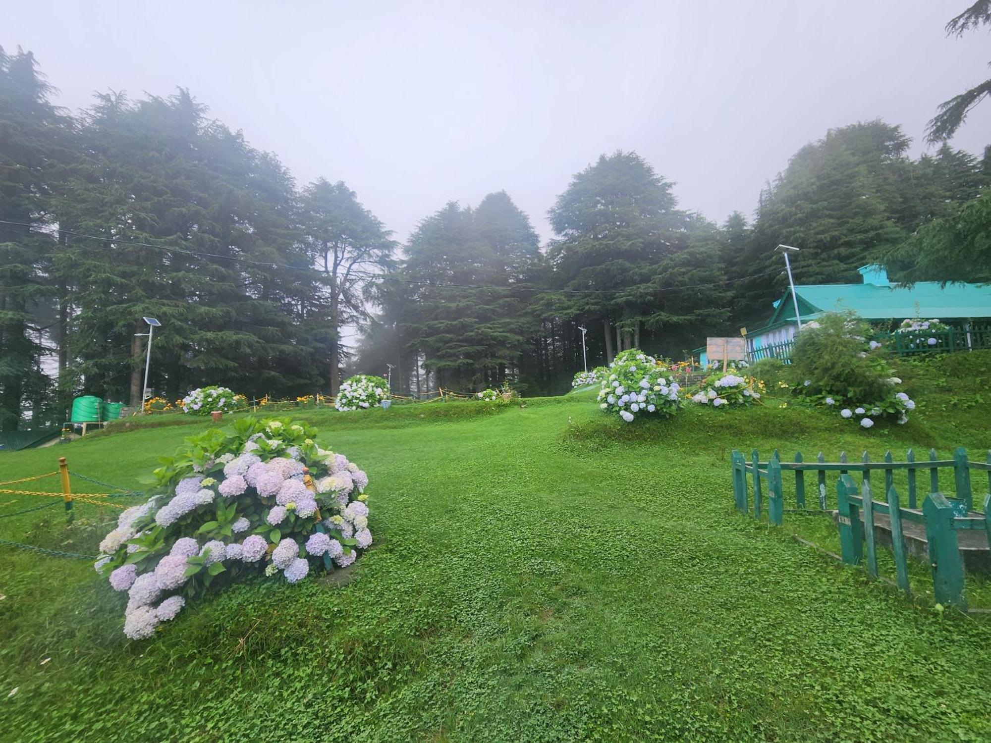 Smarthill Kalatop-The Forest Sanctuary 2* Dalhousie
