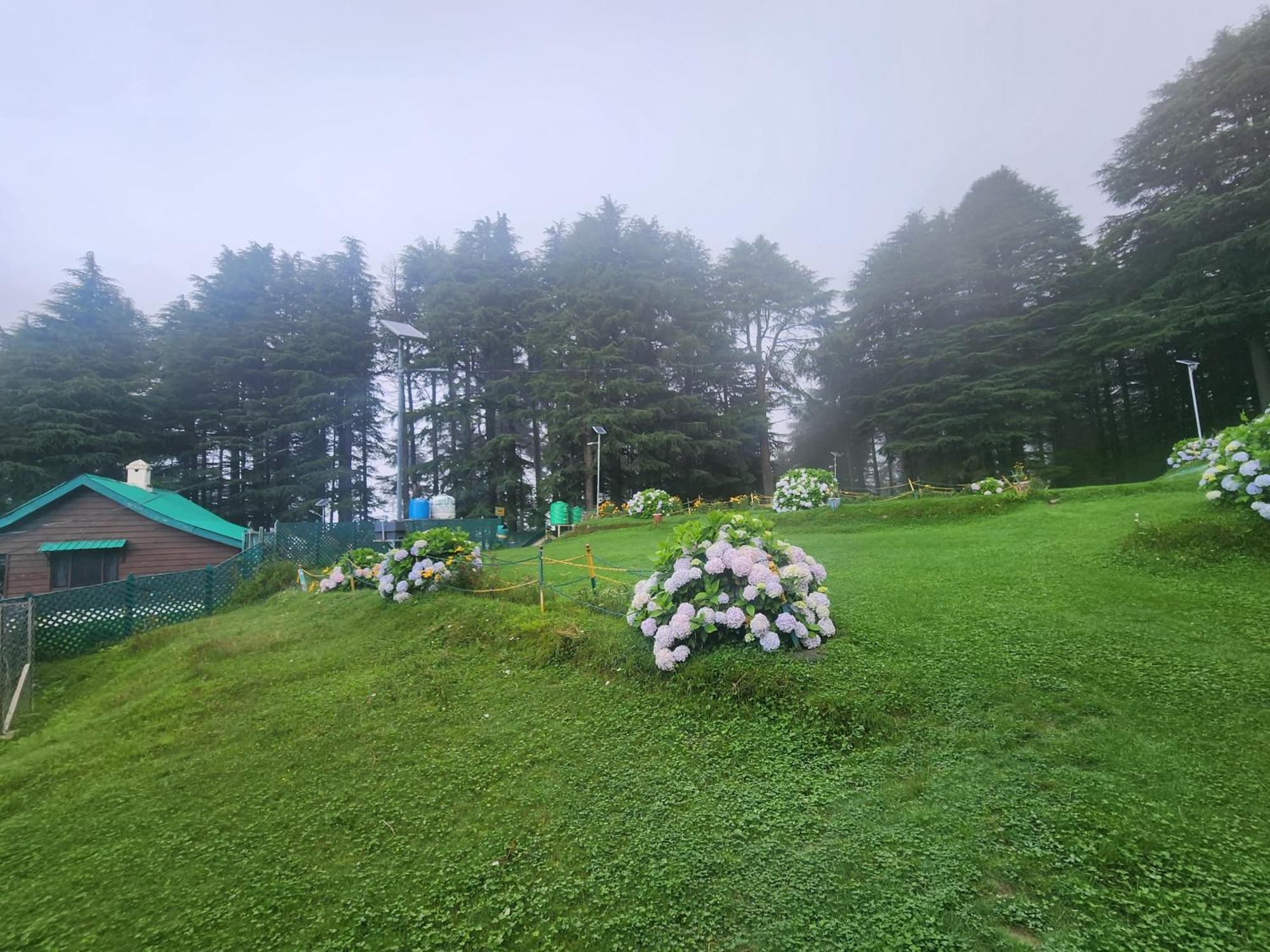 Hotel Smarthill Kalatop-The Forest Sanctuary 2*