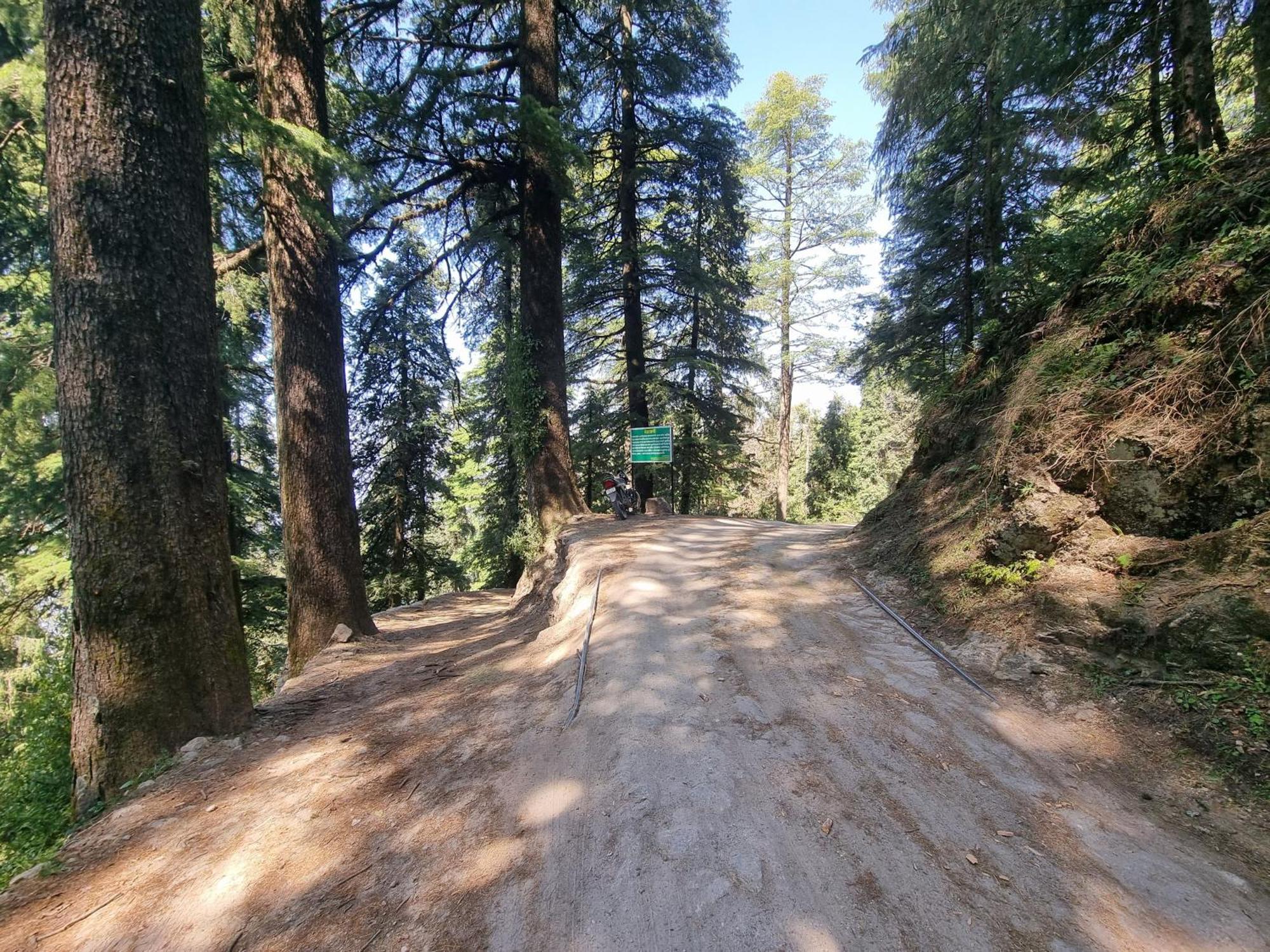 Hotel Smarthill Kalatop-The Forest Sanctuary Dalhousie
