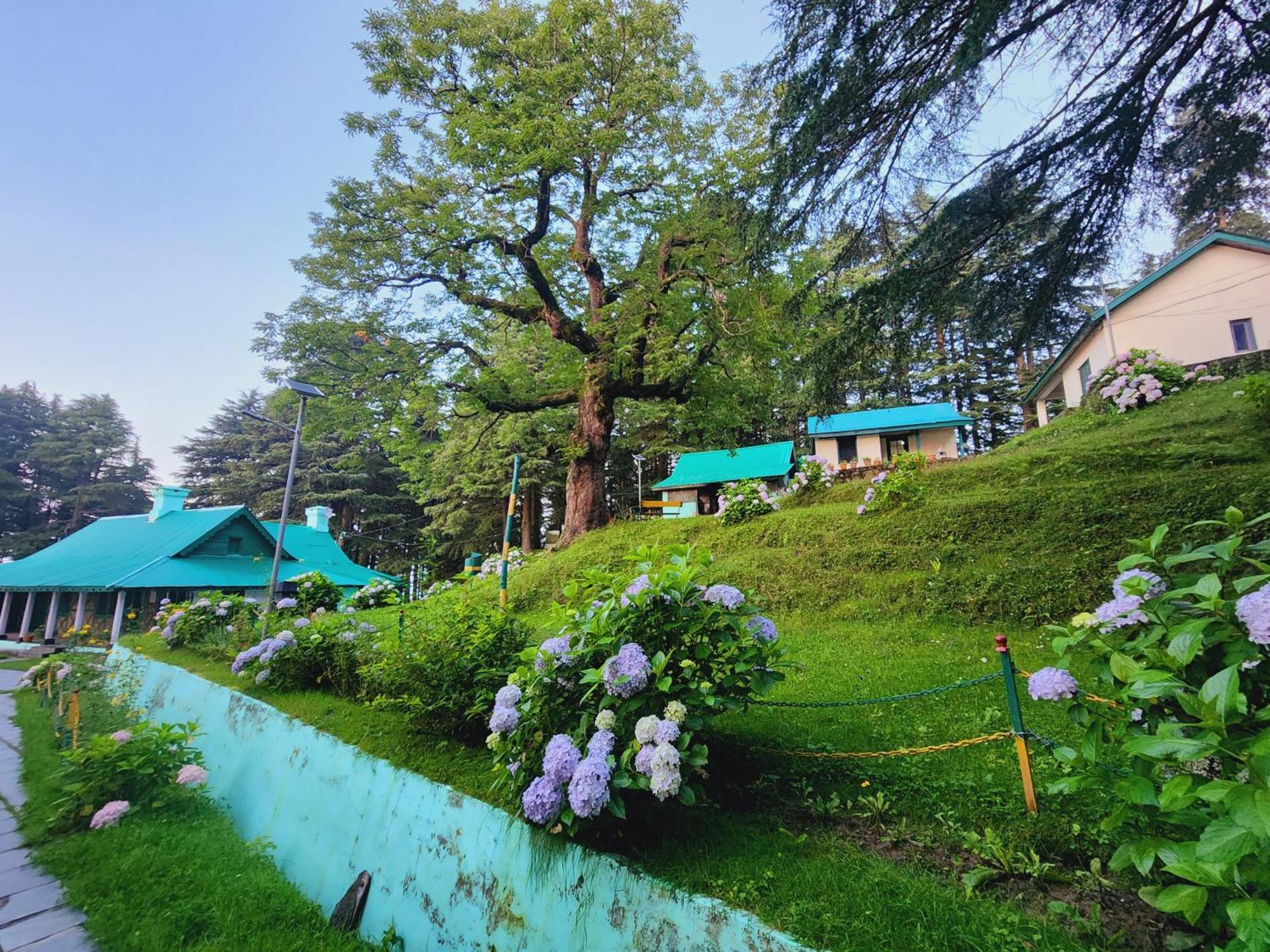Hotel Smarthill Kalatop,dalhousie Dalhousie